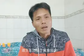 为什么广东臭虫那么多？视频封面