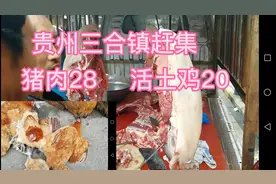 贵州遵义三合镇赶集,猪肉28.活土鸡20,大家觉得价格怎么样？视频封面