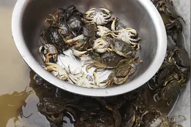 螃蟹如何清理？看完这个视频反正我是学会了，也太简单了吧！视频封面