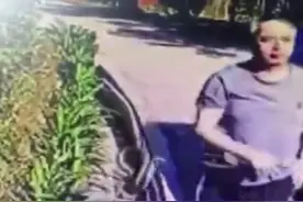 恐怖，深圳梧桐山恩上路段，有眼镜王蛇主动攻击人，登山者注意。视频封面