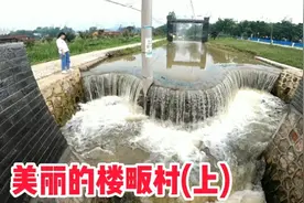 河南信阳风景秀丽的楼畈村，这样壮观的景色你来过了吗？太迷人了视频封面