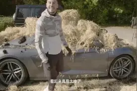 恶搞朋友的最刺激方式！满车牛粪臭气熏天，成本有点大