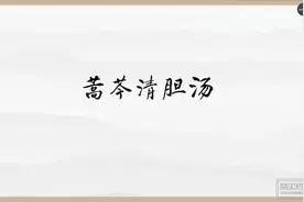 马克思主义原理分析蒿芩清胆汤视频封面