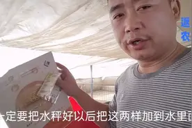 小猪断奶时不吃料，开口料的做法，小猪爱吃对肠道好视频封面