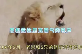 坏男孩联盟，玛库鲁追杀兰格里尼视频封面