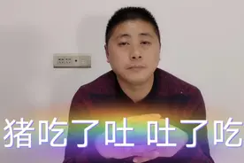 猪吃了吐，吐了又吃，很多猪场都会遇到此问题，3种方案供您选择视频封面