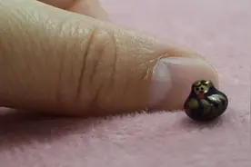 把鸡蛋扔出八米之外不破的“秘诀”🤔视频封面