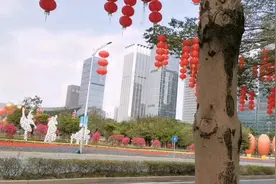 冬天里的向日葵🌻视频封面