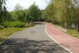 北京南海子&旧宫公园随拍视频封面