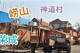 荣成崂山"教授村"的里面，有一个很大的村子叫神道村，啥样？视频封面