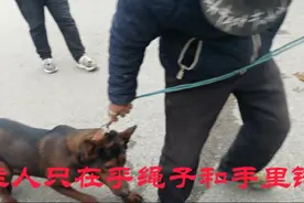 再凶的狗到狗市都夹着尾巴，主人拿到钱，开心大笑，喝胡辣汤去视频封面