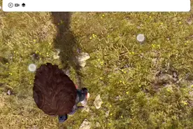 获得喷气飞翼的方法