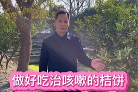 能润喉止咳的金桔饼怎么做的？视频封面