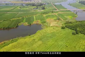 绿色临泉最新宣传片视频封面