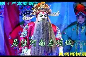 居住河南在项城，老夫名讳叫严嵩。这个白脸奸臣唱得不错！视频封面