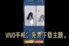 VIVO手机，免费下载主题。