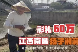 南昌扬子洲停封十年今年有望重新开发，江西彩礼真的全国之最吗？视频封面