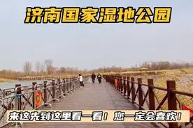 济南湿地公园天鹅湖！这个地方值得一看！您喜欢吗#本地达人计划#