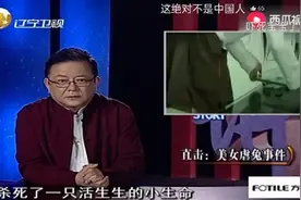 杀手兔来临。视频封面