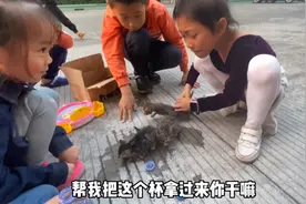小区突然有几个流浪小猫咪，有爱的小朋友给它们做窝喂食喂水视频封面