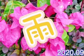 11号台风对海南乐东有多大的影响呢？