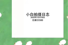 尼康D3500小白日志