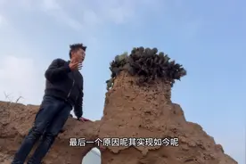 农村老土墙上的仙人掌，除了能防盗，有什么其它用途？视频封面