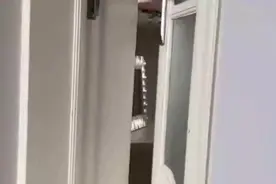 金毛趁女主不在家和男主干这种事，恰巧被二哈瞅见，忍住别笑视频封面