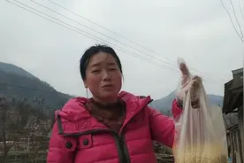 如何防止小鸟吃菜？70后的主妇用了个笨办法，不知效果咋样视频封面