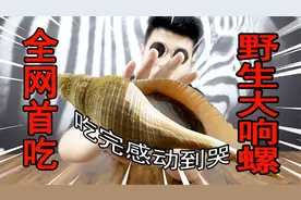 【世界第一系列】 40万天价饭局篇 试吃800元一斤野生大响螺视频封面