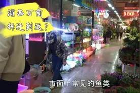 实拍上海浦东上南路花鸟市场，绿植果树和玩草缸爱好者的福地视频封面