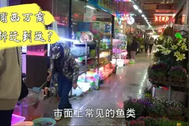 实拍上海浦东上南路花鸟市场，绿植果树和玩草缸爱好者的福地视频封面
