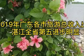 2019年广东各市旅游总收入出炉，广深佛前三湛江全省第五进步明显视频封面