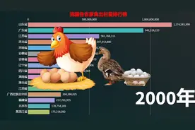 我国各省家禽出栏量排行榜，有着农业大省著称的山东是不是很牛？视频封面
