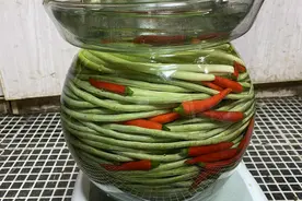 妹子自制酸豆角，方法简单，掌握三点，豆角酸脆好吃