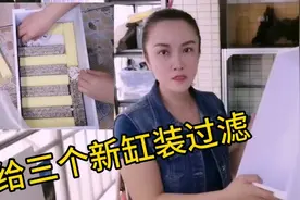 要给三层鱼缸装过滤系统，来看看惠姐的滤盒怎么装？滤材如何摆？