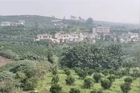 丹棱县，隶属于四川省眉山市，地处四川盆地成都平原西南边缘。视频封面