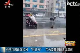 2019年以来最强台风“利奇马” 8月10日凌晨登陆浙江温州
