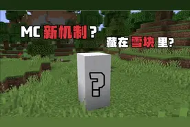 1.17版本更新新方块，可以藏在雪块里？玩躲猫猫岂不无敌？