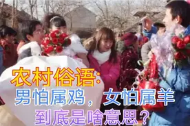 “男怕属鸡，女怕属羊”到底是啥意思？古人说的有没有道理呢？视频封面
