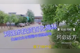 刘强东投资百亿湖南湘潭县梅林桥镇，是个什么样？今天去看一下。视频封面