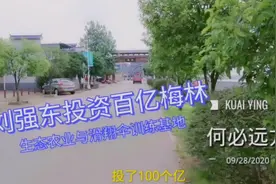 刘强东投资百亿湖南湘潭县梅林桥镇，是个什么样？今天去看一下。视频封面