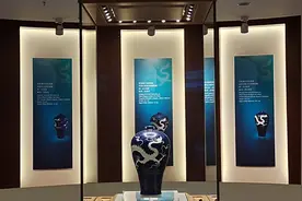 扬州博物馆镇馆之宝，元代霁蓝釉白龙纹梅瓶，不允许出国境展览视频封面