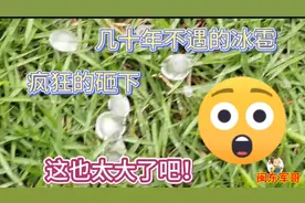 福州市的天空疯狂砸下大冰雹，真的是史无前例太吓人了视频封面