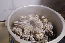 海边凤姐用高压锅十分钟煮熟海蛎子，不加一滴水，轻轻松松就张口视频封面