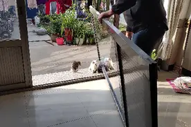 吴大哥家的推拉门坏了 自己动手维修视频封面