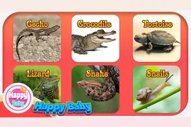 宝宝学英语《0-3岁宝宝》抓住孩子英语启蒙期 -免费学英语-动物篇视频封面