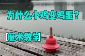 魔术解密:为什么小鸡变成鸡蛋？方法比你想的简单！