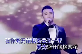 王琪 我是你的格桑花视频封面