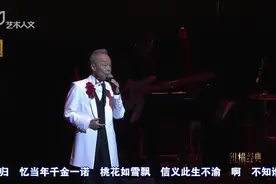 谷村新司上海演唱会 《风姿花传》，磁性的嗓音非常好听！视频封面